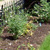 Salt Lake City Front Yard