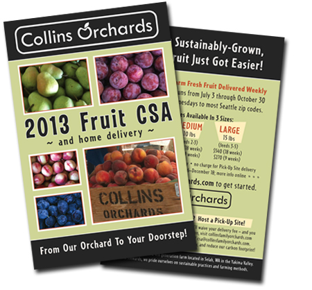Collins Family Orchards CSA Flyer